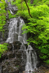 水量の豊富な滝