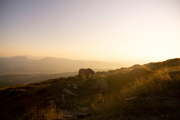 sunset in the basque mountains, spain