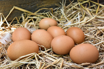 Many eggs in the nest are made from straw. Food obtained from chickens on farms. Healthy products from farmers. Products from rural areas.