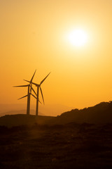 eolic wind generators at sunset