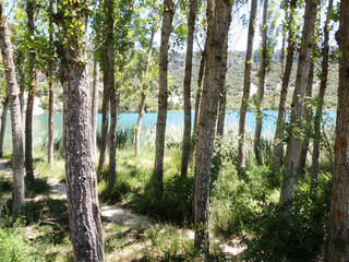 Laguna El Tobar in the Alto Tajo Natural Park. Castilla la Mancha. Spain
