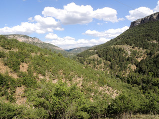 Fototapeta na wymiar Alto Tajo Natural Park. Castilla la Mancha. Spain