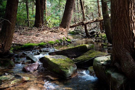 Calming mountain stream on Game Lands in Pennsylvania