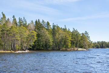 View of Lake Meiko area in spring, rocks, pine trees and lake, Kirkkonummi, Finland
