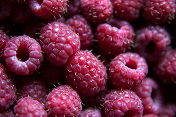 Raspberry. Macro.