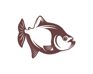 Piranha fish logo design vector. Icon Symbol. Template Illustration