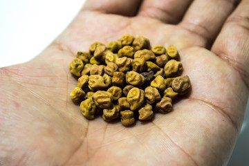 A picture of chickpeas 