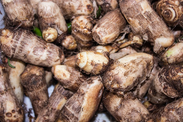 A picture of taro roots
