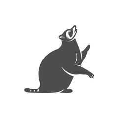 Racoon logo design vector. Icon Symbol. Template Illustration