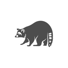 Racoon logo design vector. Icon Symbol. Template Illustration