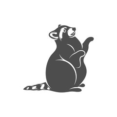 Racoon logo design vector. Icon Symbol. Template Illustration