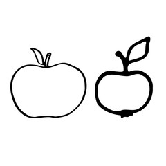 Apple with stem and leaf. Hand drawn outline doodle icon. Transparent isolated on white background. Vector illustration for greeting cards, posters, patches, prints for clothes, emblems.