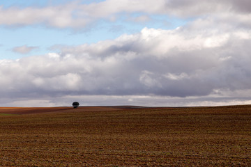 Obraz premium rural landscape in the middle of spain