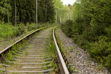 Fototapeta premium Railroad tracks through the forest in spring.