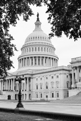 Fototapeta premium U.S. Capitol Building in Washington D.C. United States of America
