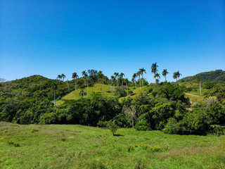 Fototapeta na wymiar Tropical landscape in the dominican republic