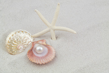 Fototapeta na wymiar Starfish and seashells with pearl on white sand