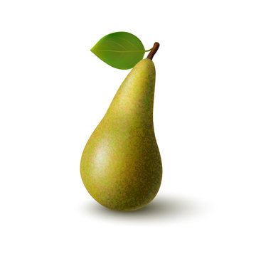 Isolated colorful whole pear conference with leaf on white background. Realistic colored fruit with shadow. Flat design.