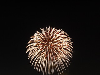 Fototapeta premium 花火