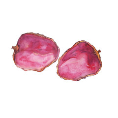 Watercolor peel of lychee fruit isolated on white background. Hand drawing illustration of litchi chinensis. Pink fruit.