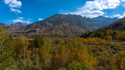 Beautiful morning view in ladakh