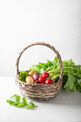 fresh garden vegetables in a basket on a light background, place for text