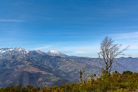 Amazing landscape of a great valley with high snowy peaks and a tree without leaves © J.R. Baizán