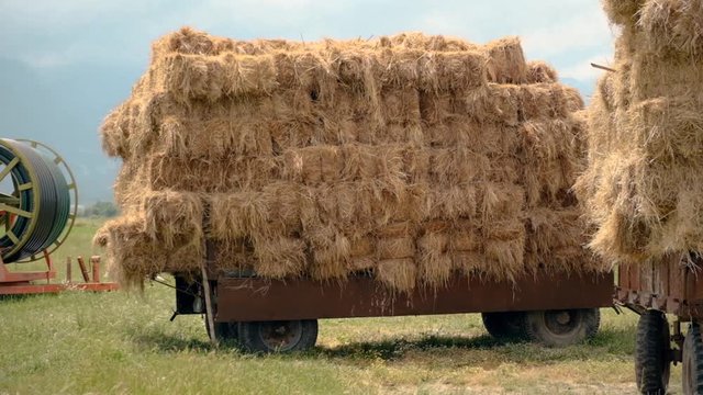 Tractors loaded with hay in the countryside, slow motion