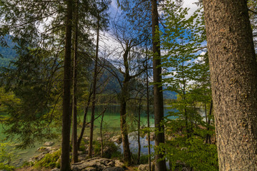 Durch die Äste auf den Hintersee blicken