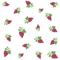 Grape fruits background  with leaf icon vector illustrtion