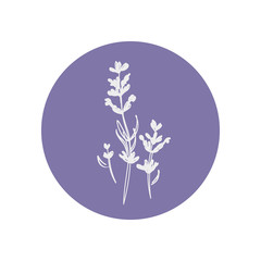 Logo design of icon lavender. Vector illustration