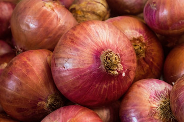 Close up view of organic raw red red onion
