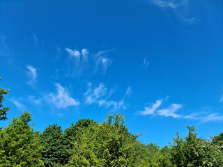 Obraz premium sky and trees