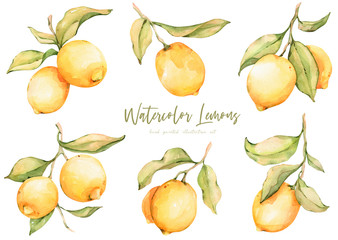 Hand painted watercolor set lemons . The citrus is ideal for creating greeting cards, wedding invitations, printed fabrics, logos, packaging and DIY design.