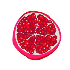 Red Pomegranate isolated on the white background. Vector illustration. Cut in half fruit. Bright red colors