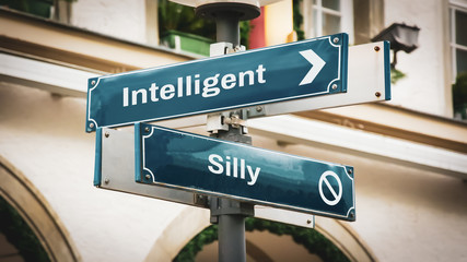 Street Sign Intelligent versus Silly