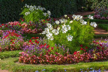 Flower garden in the French style
