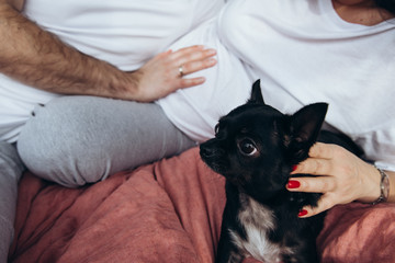 Young pregnant woman with her husband at home. Man is touching his wife belly. Small black dog on a bed Future parents feeling their future baby through the belly. Anonymous faces