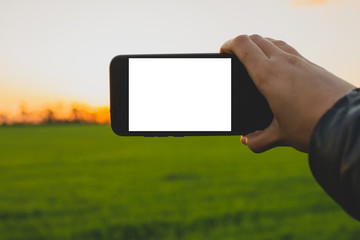 modern telephone in hand with white screen on sunset background