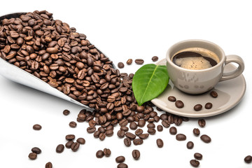 Spoon Coffee scoop and coffee beans roasted with hot coffee cup on a white background with copy space for your text. Coffee Espresso