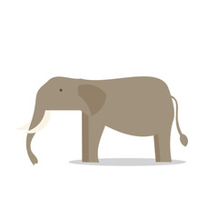 elephant Vector illustration of cute animal