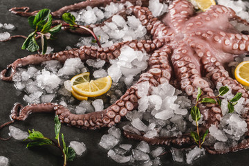 Whole fresh raw octopus with spices and lemon on ice, slate stone background. Seafood octopus, close up