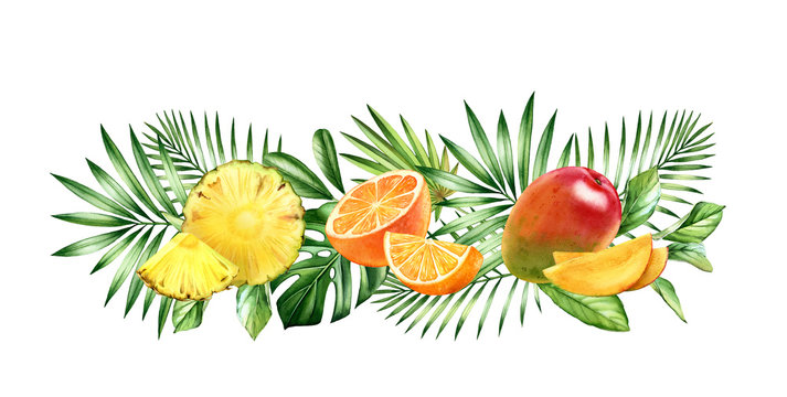 Watercolor tropical fruits. Horizontal border with orange, ananas, mango fruits and palm leaves. Botanical realistic hand drawn illustration