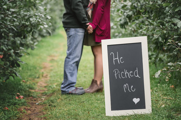 Fototapeta premium He Picked Me Engagement Sign in Apple Orchard