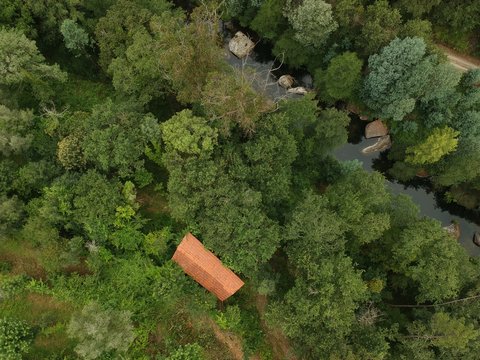 Ariel View On The Forest With River