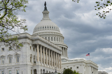 Obraz premium U.S. Capitol Building - Washington D.C. United States of America