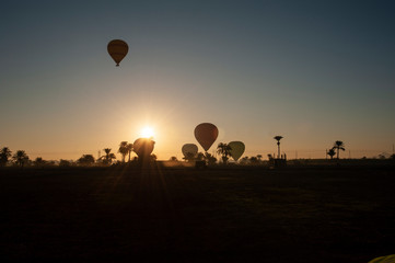 Hot air balloons taking off at sunrise