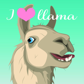 Vector image of a llama.I love llama.