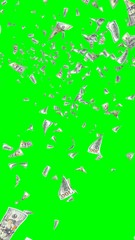 Flying dollars banknotes isolated on chromakey. Money is flying in the air. 100 US banknotes new sample. Vertical orientation. 3D illustration