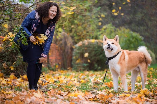Woman pet owner playing with akita-inu dog in autumn leaves in city park